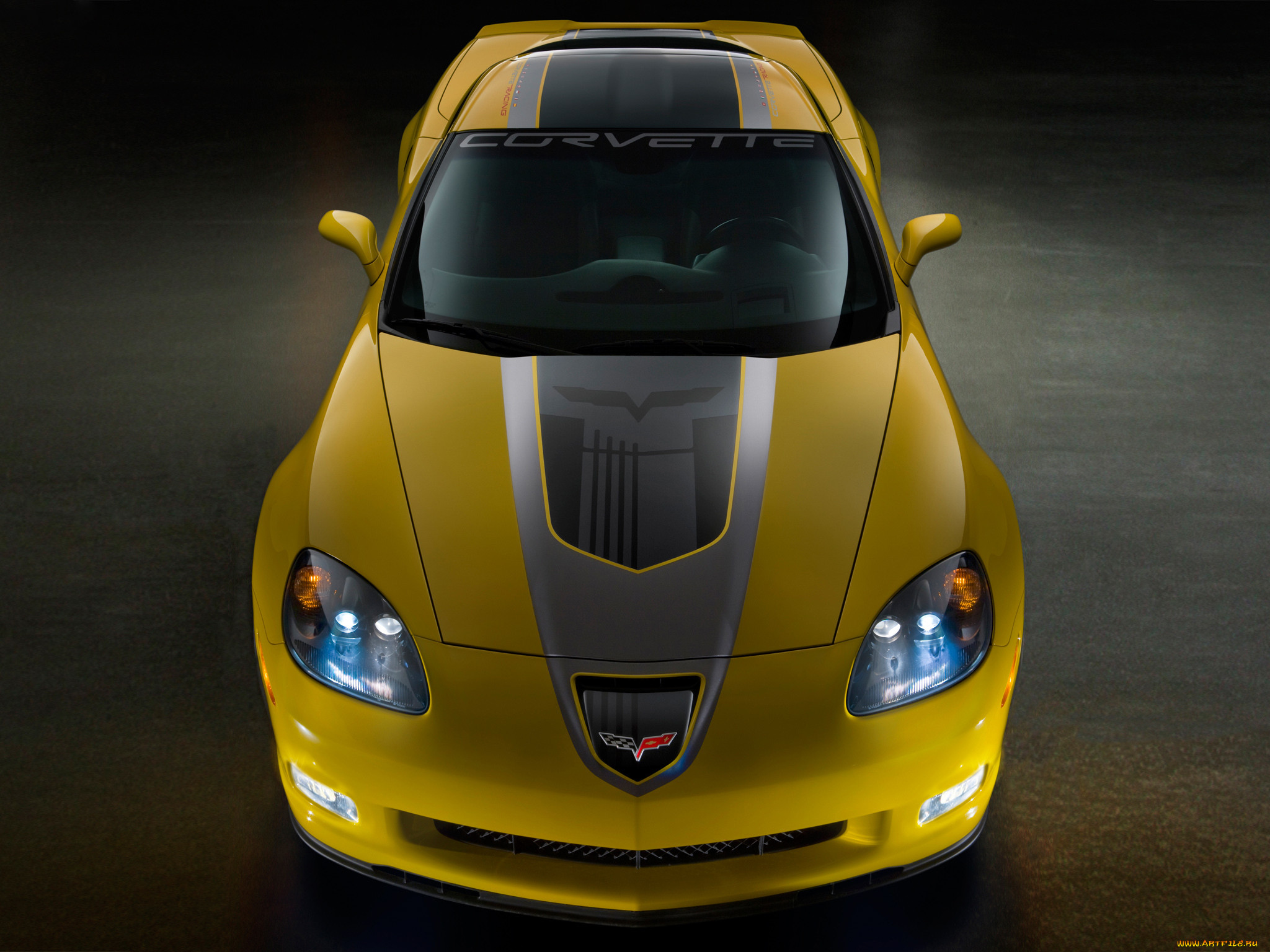 corvette z06 gt1 championship edition 2009, , corvette, gt1, z06, 2009, edition, championship